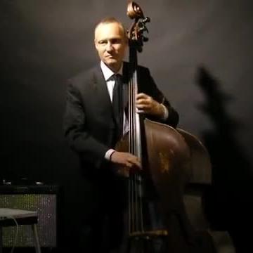 Double bass00001